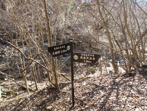 20160218hike (576)